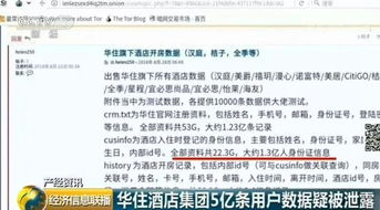 宾馆入住记录查询系统网站 宾馆入住记录查询系统网站