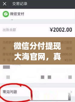 微信分付提现大海官网,真的靠谱吗? 微信分付提现大海官网,真的靠谱吗?