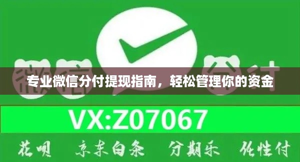 专业微信分付提现指南，轻松管理你的资金
