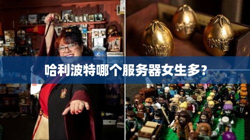 哈利波特哪个服务器女生多？