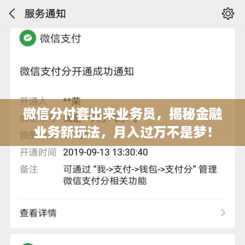 微信分付套出来业务员,揭秘金融业务新玩法,月入过万不是梦! 微信分付套出来业务员,揭秘金融业务新玩法,月入过万不是梦!