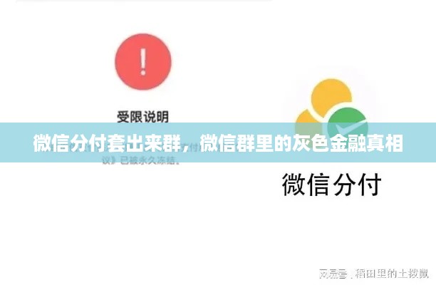 微信分付套出来群,微信群里的灰色金融真相 微信分付套出来群,微信群里的灰色金融真相