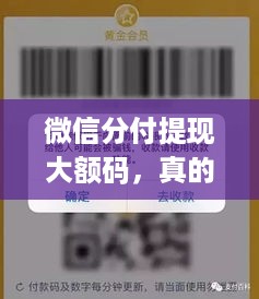 微信分付提现大额码,真的能轻松拿到钱吗? 微信分付提现大额码,真的能轻松拿到钱吗?