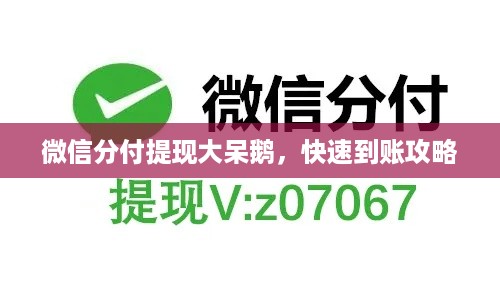 微信分付提现大呆鹅,快速到账攻略 微信分付提现大呆鹅,快速到账攻略