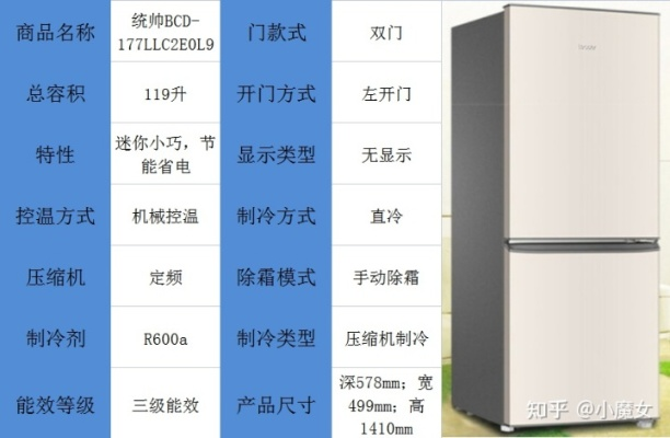 商用双开门冰箱选购全攻略,品牌、参数、避坑指南 商用双开门冰箱选购全攻略,品牌、参数、避坑指南