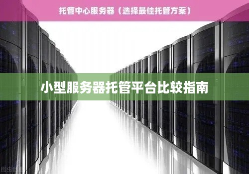 小型服务器托管平台比较指南
