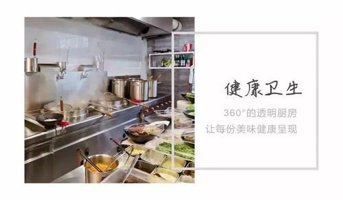 日本油漆厂家全解析，十大品牌、选购指南与真实案例