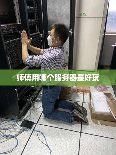 师傅用哪个服务器最好玩