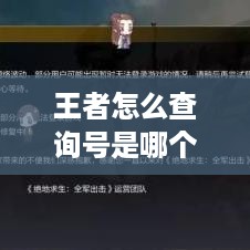 王者怎么查询号是哪个服务器的