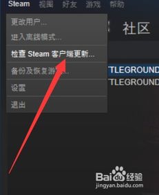 如何识别吃鸡游戏中的服务器