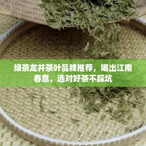 绿茶龙井茶叶品牌推荐，喝出江南春意，选对好茶不踩坑