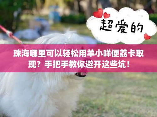 珠海哪里可以轻松用羊小咩便荔卡取现？手把手教你避开这些坑！