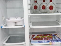 小冰箱制冰盒选购指南,高性价比品牌+避坑技巧+真实案例分享 小冰箱制冰盒选购指南,高性价比品牌+避坑技巧+真实案例分享