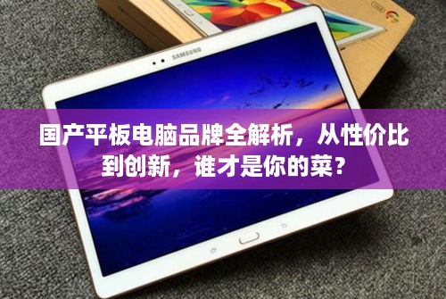 国产平板电脑品牌全解析，从性价比到创新，谁才是你的菜？