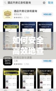 如何安全高效地查询宾馆开房记录