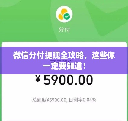 微信分付提现全攻略,这些你一定要知道! 微信分付提现全攻略,这些你一定要知道!