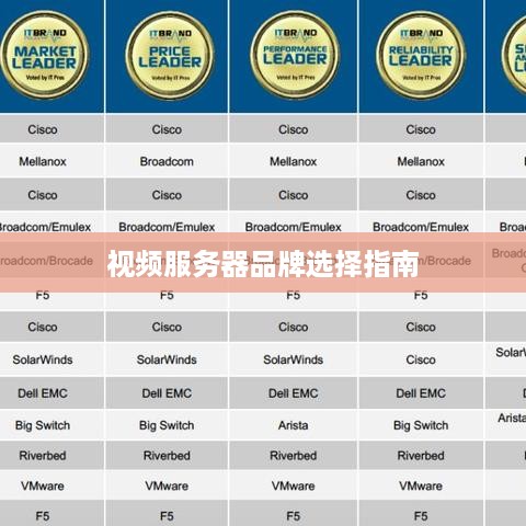 视频服务器品牌选择指南
