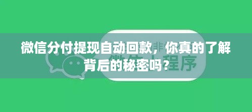 微信分付提现自动回款，你真的了解背后的秘密吗？