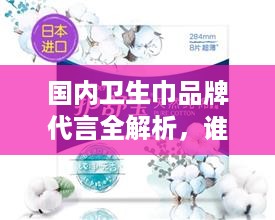 国内卫生巾品牌代言全解析,谁在守护你的秘密花园? 国内卫生巾品牌代言全解析,谁在守护你的秘密花园?