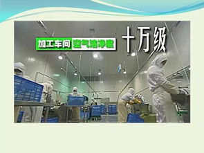 打造未来厨房,XX品牌如何用超级冷冻技术重新定义冷链 打造未来厨房,XX品牌如何用超级冷冻技术重新定义冷链