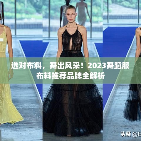 选对布料，舞出风采！2023舞蹈服布料推荐品牌全解析