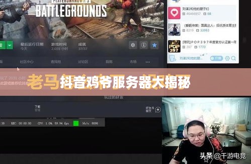 抖音鸡爷服务器大揭秘 抖音鸡爷服务器大揭秘
