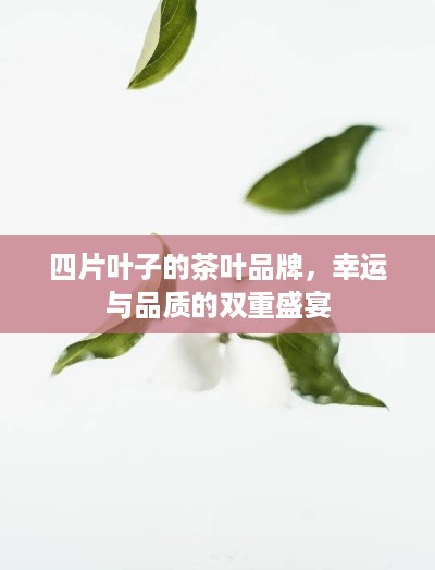 四片叶子的茶叶品牌,幸运与品质的双重盛宴 四片叶子的茶叶品牌,幸运与品质的双重盛宴