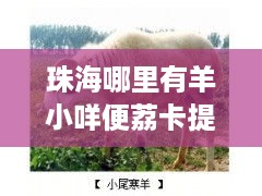 珠海哪里有羊小咩便荔卡提现? 珠海哪里有羊小咩便荔卡提现?