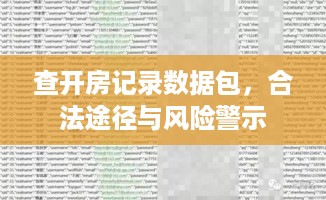 查开房记录数据包,合法途径与风险警示 查开房记录数据包,合法途径与风险警示