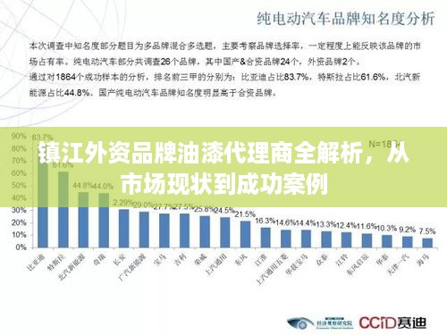 镇江外资品牌油漆代理商全解析，从市场现状到成功案例