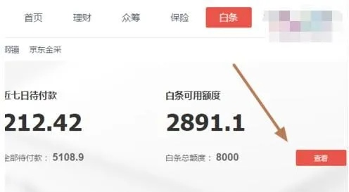 京东白条取现攻略,如何安全高效地利用京东白条进行资金周转 京东白条取现攻略,如何安全高效地利用京东白条进行资金周转