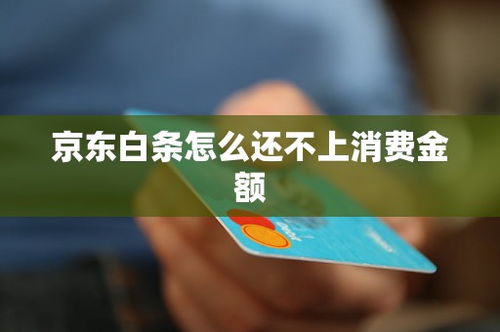 京东白条取现攻略,轻松解决资金周转难题 京东白条取现攻略,轻松解决资金周转难题