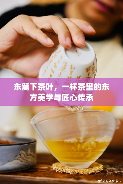 东篱下茶叶,一杯茶里的东方美学与匠心传承 东篱下茶叶,一杯茶里的东方美学与匠心传承