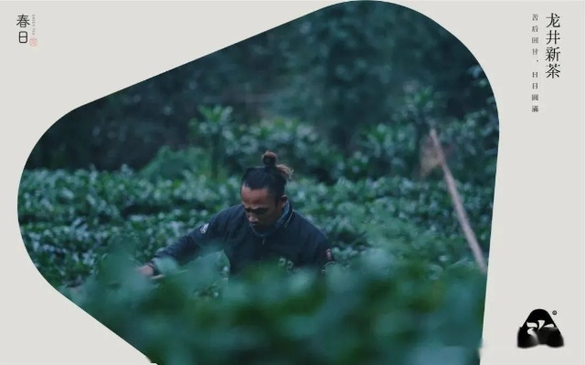 东篱下茶叶,一杯茶里的东方美学与匠心传承 东篱下茶叶,一杯茶里的东方美学与匠心传承