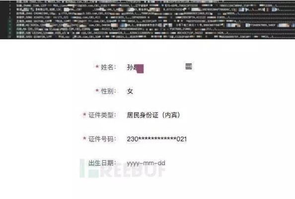 揭秘查开房记录网站，真相、风险与法律边界
