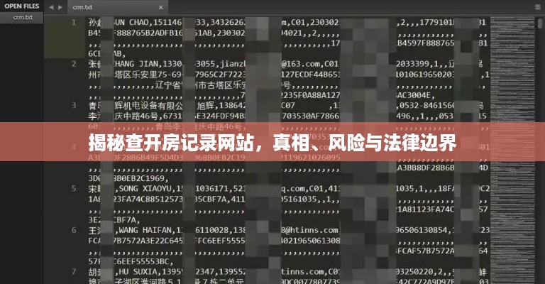 揭秘查开房记录网站,真相、风险与法律边界 揭秘查开房记录网站,真相、风险与法律边界