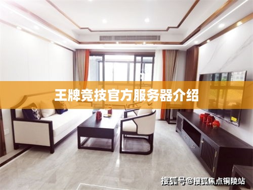 王牌竞技官方服务器介绍 王牌竞技官方服务器介绍