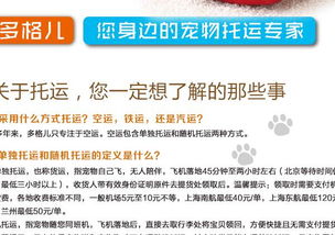 珠海白条提现指南,安全便捷的正规渠道解析 珠海白条提现指南,安全便捷的正规渠道解析