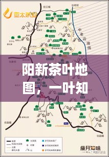 阳新茶叶地图,一叶知秋的土特产密码 阳新茶叶地图,一叶知秋的土特产密码