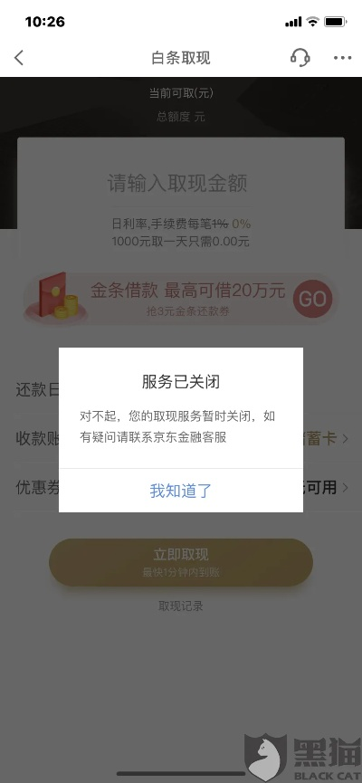 京东白条取现限制解析