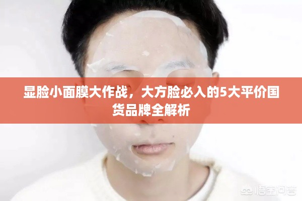 显脸小面膜大作战,大方脸必入的5大平价国货品牌全解析 显脸小面膜大作战,大方脸必入的5大平价国货品牌全解析