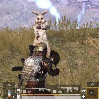 PUBG正式服务器是哪个？新手入门指南！
