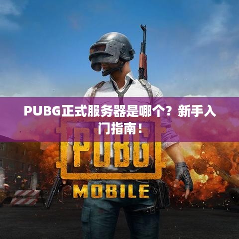 PUBG正式服务器是哪个?新手入门指南! PUBG正式服务器是哪个?新手入门指南!