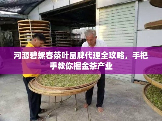 河源碧螺春茶叶品牌代理全攻略,手把手教你掘金茶产业 河源碧螺春茶叶品牌代理全攻略,手把手教你掘金茶产业