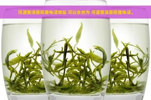 河源碧螺春茶叶品牌代理全攻略,手把手教你掘金茶产业 河源碧螺春茶叶品牌代理全攻略,手把手教你掘金茶产业