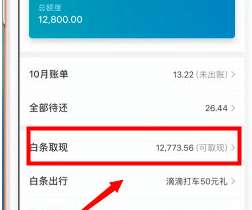 京东白条取现攻略,了解不可分期的选项与案例 京东白条取现攻略,了解不可分期的选项与案例