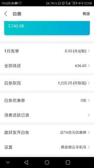 京东白条取现的分期选择与案例分析