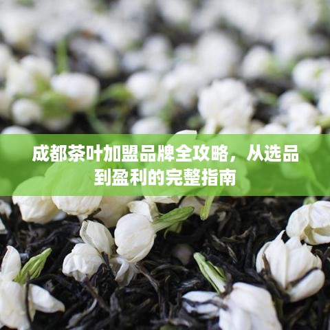 成都茶叶加盟品牌全攻略,从选品到盈利的完整指南 成都茶叶加盟品牌全攻略,从选品到盈利的完整指南