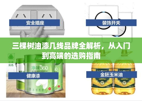 三棵树油漆几线品牌全解析,从入门到高端的选购指南 三棵树油漆几线品牌全解析,从入门到高端的选购指南