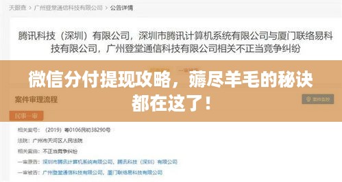 微信分付提现攻略,薅尽羊毛的秘诀都在这了! 微信分付提现攻略,薅尽羊毛的秘诀都在这了!